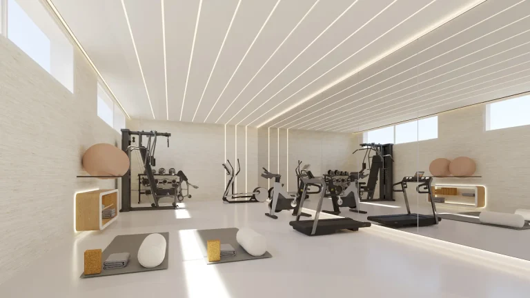 Elysium Views - gym