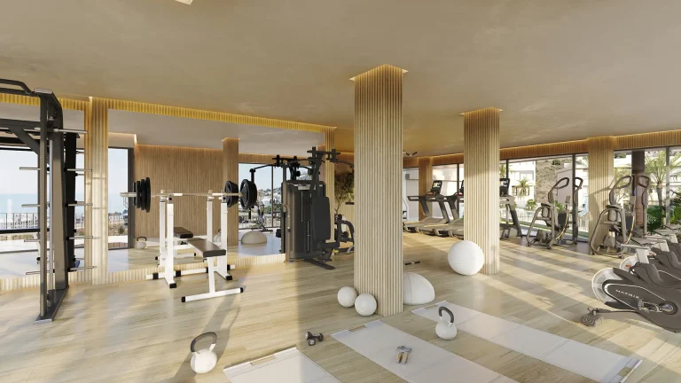 Higueron Views - gym